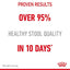 Royal Canin Digestive Care in Gravy | Wet Food for Sensitive Stomachs - 85g