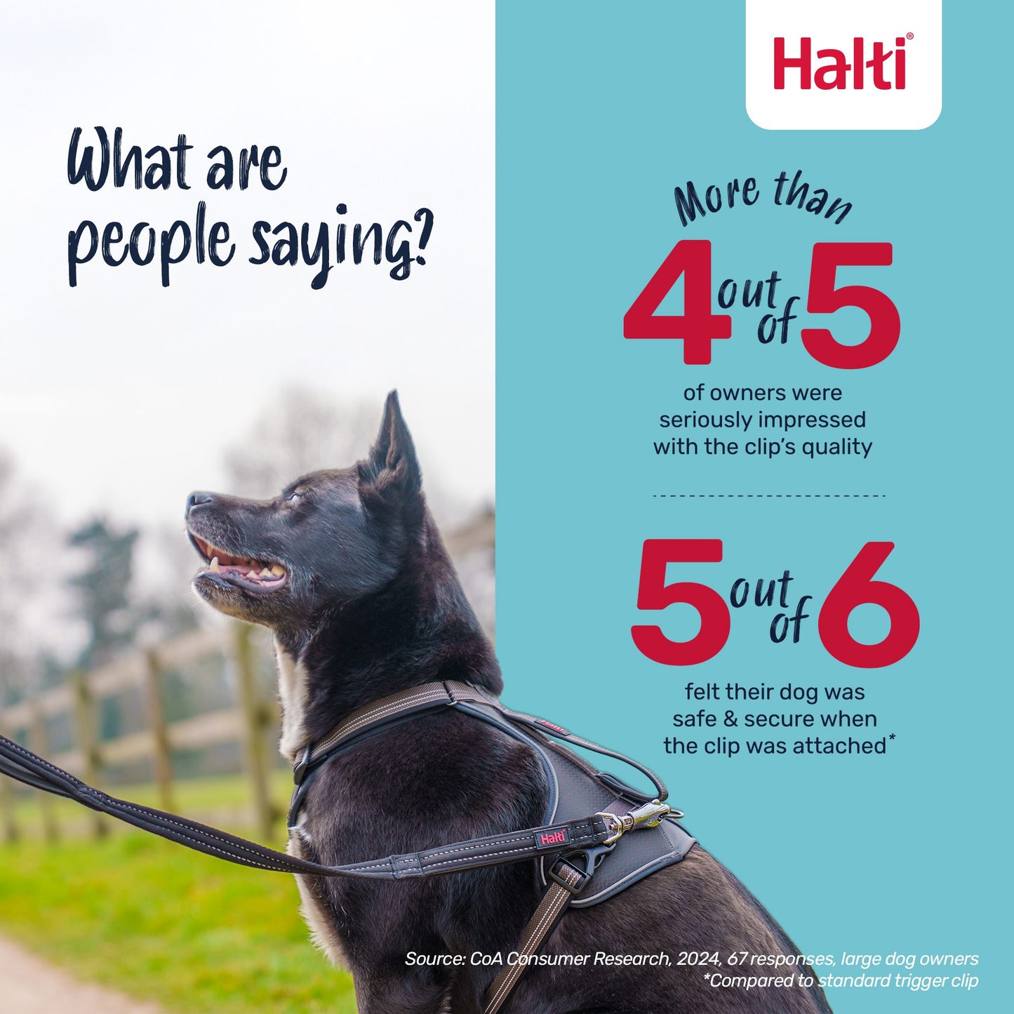 Halti BRIG® Safety Dog Lead | Ultra-Strong Control for Powerful & Big Dogs