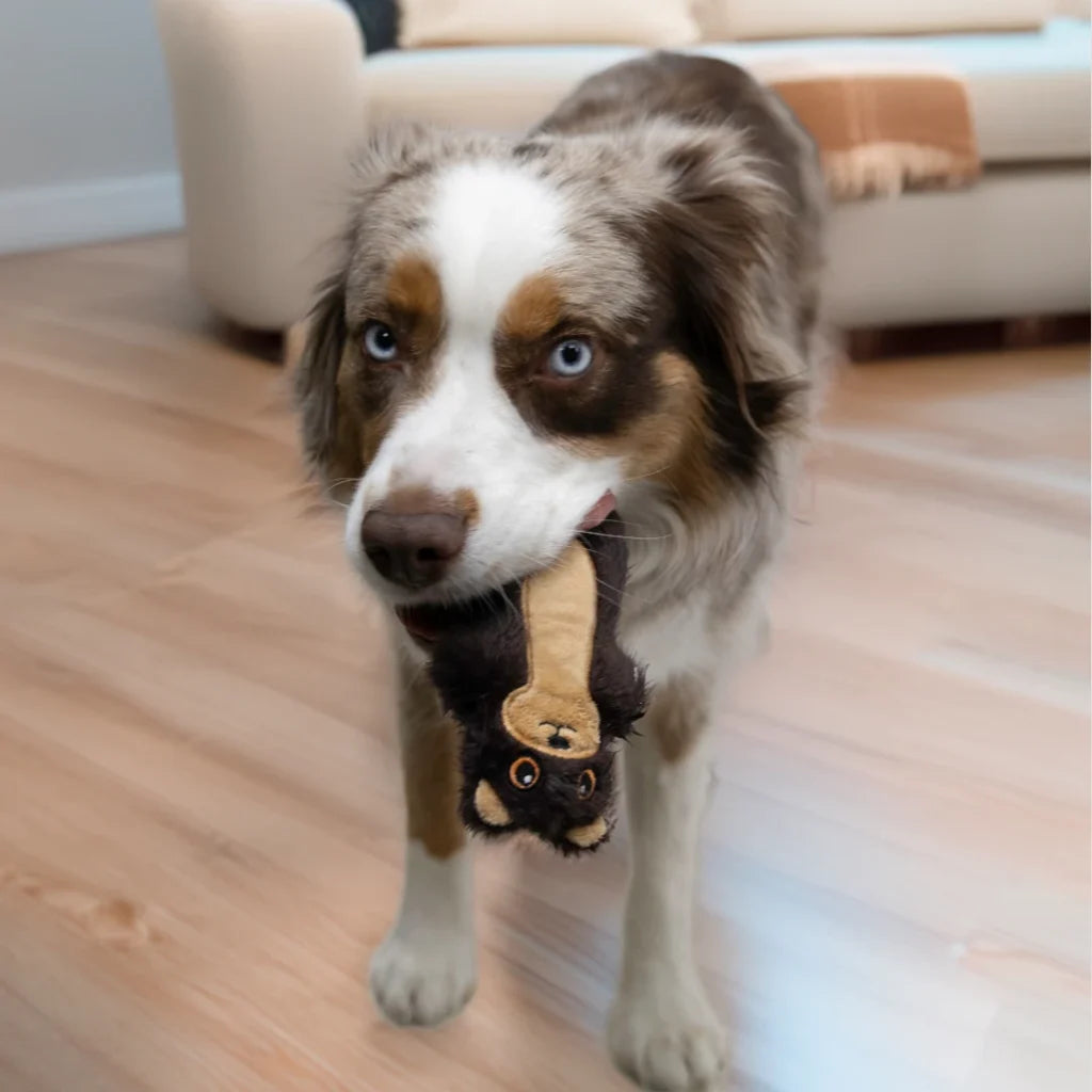 KONG Snuzzles Otter Mini | Plush Squeaky Toy for Small Dogs