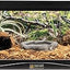 ZooMed Forest Floor Bedding 8.8L | Natural Cypress Mulch Reptile Substrate