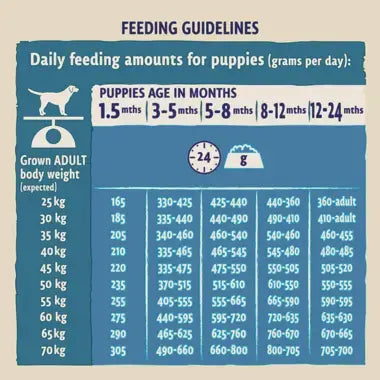 Feeding guidelines for puppies based on age and adult body weight.
