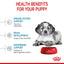 Royal Canin Medium Puppy 🐕 Size Health Nutrition Dry Dog Food