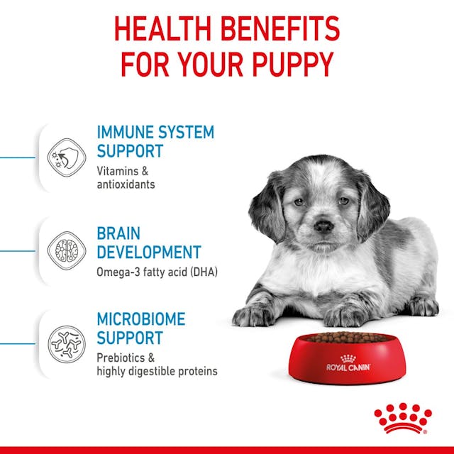 Royal Canin Medium Puppy 🐕 Size Health Nutrition Dry Dog Food