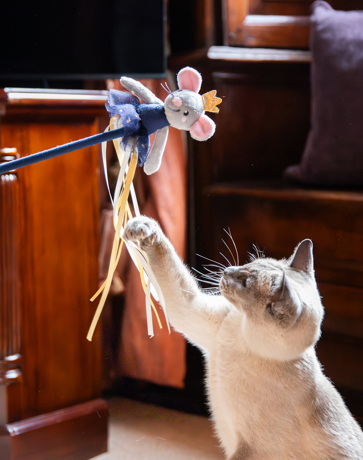 Marie Mouse Teaser 🎄 Christmas Cat Toy by Cupid & Comet