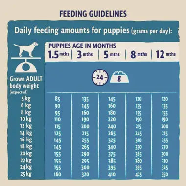 Beta Puppy Turkey & Lamb Dry Dog Food