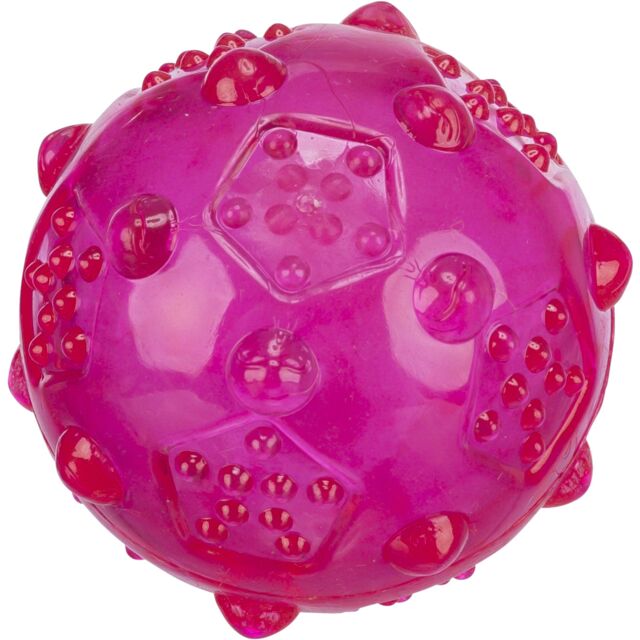 Trixie TPR Fetch Ball with Squeak | Dog Toy