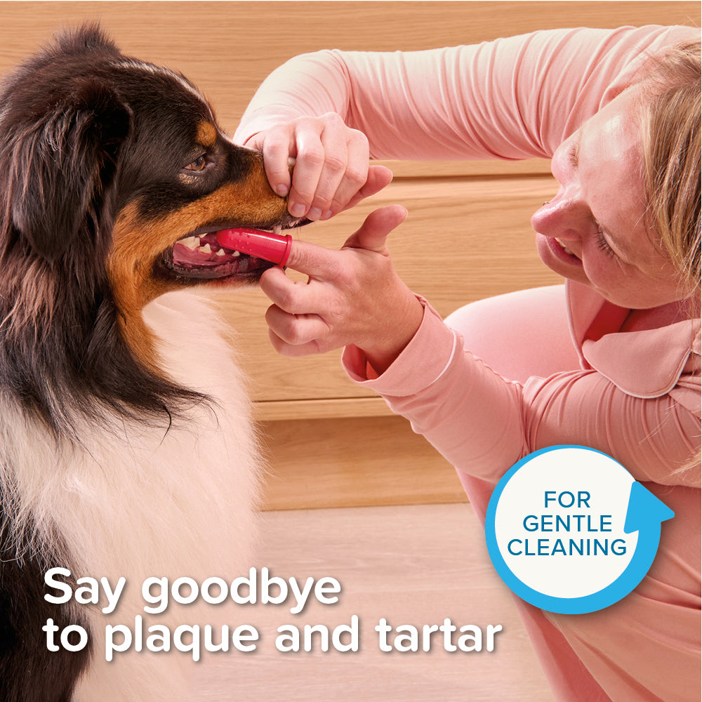 Beaphar Finger Toothbrush | Gentle Silicone Dental Care for Dogs & Cats