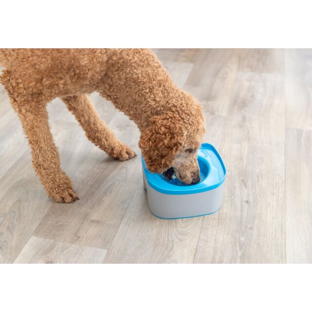 TRIXIE Anti-Spill Travel Water Bowl for Dogs 🚗💧 | Non-Slip No-Spill - 1.1l