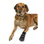 Dog wearing a black boot on a white background