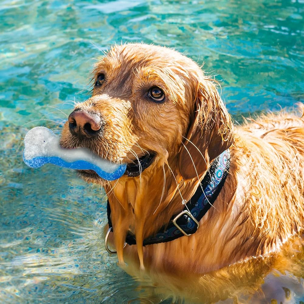 Chill Out | Ice Bone | Dog Cooling Toy for Summer & Heatwaves