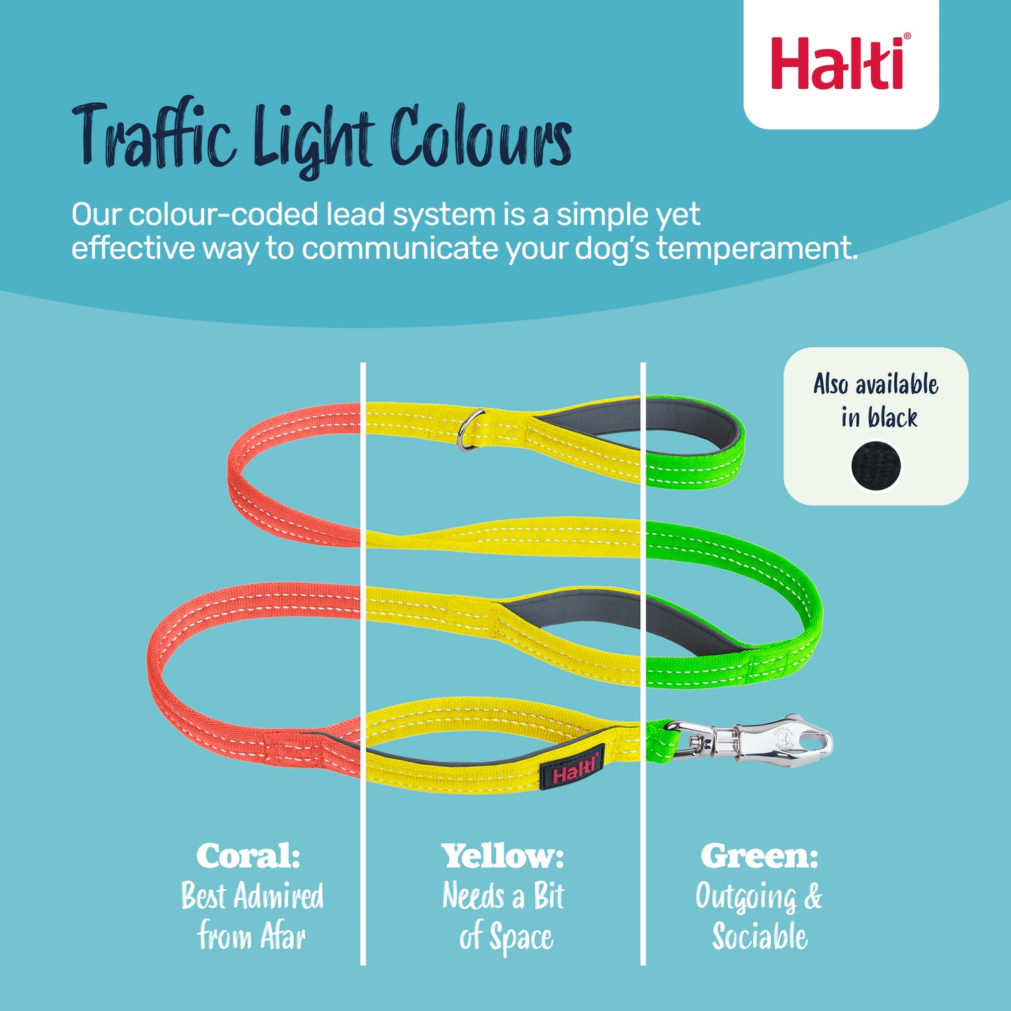 Halti BRIG® Safety Dog Lead | Ultra-Strong Control for Powerful & Big Dogs