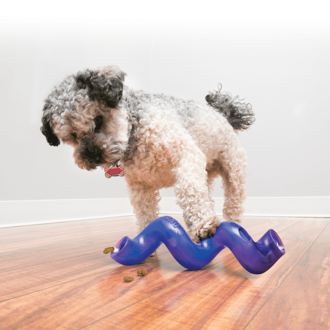 KONG Treat Spiral Stick | Treat Dispensing Dog Toy