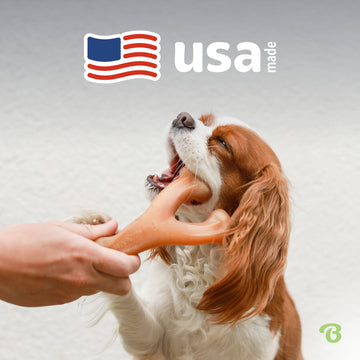 Benebone Bacon Infused Wishbone | Durable Dog Chew Toy