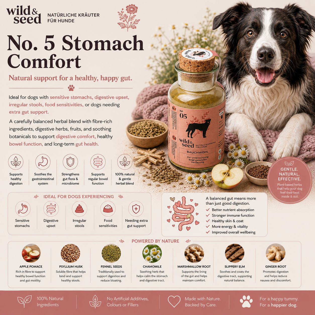 Wild&Seed Herbs No. 5 Bauchwohl | Natural Digestive & Gut Support for Dogs