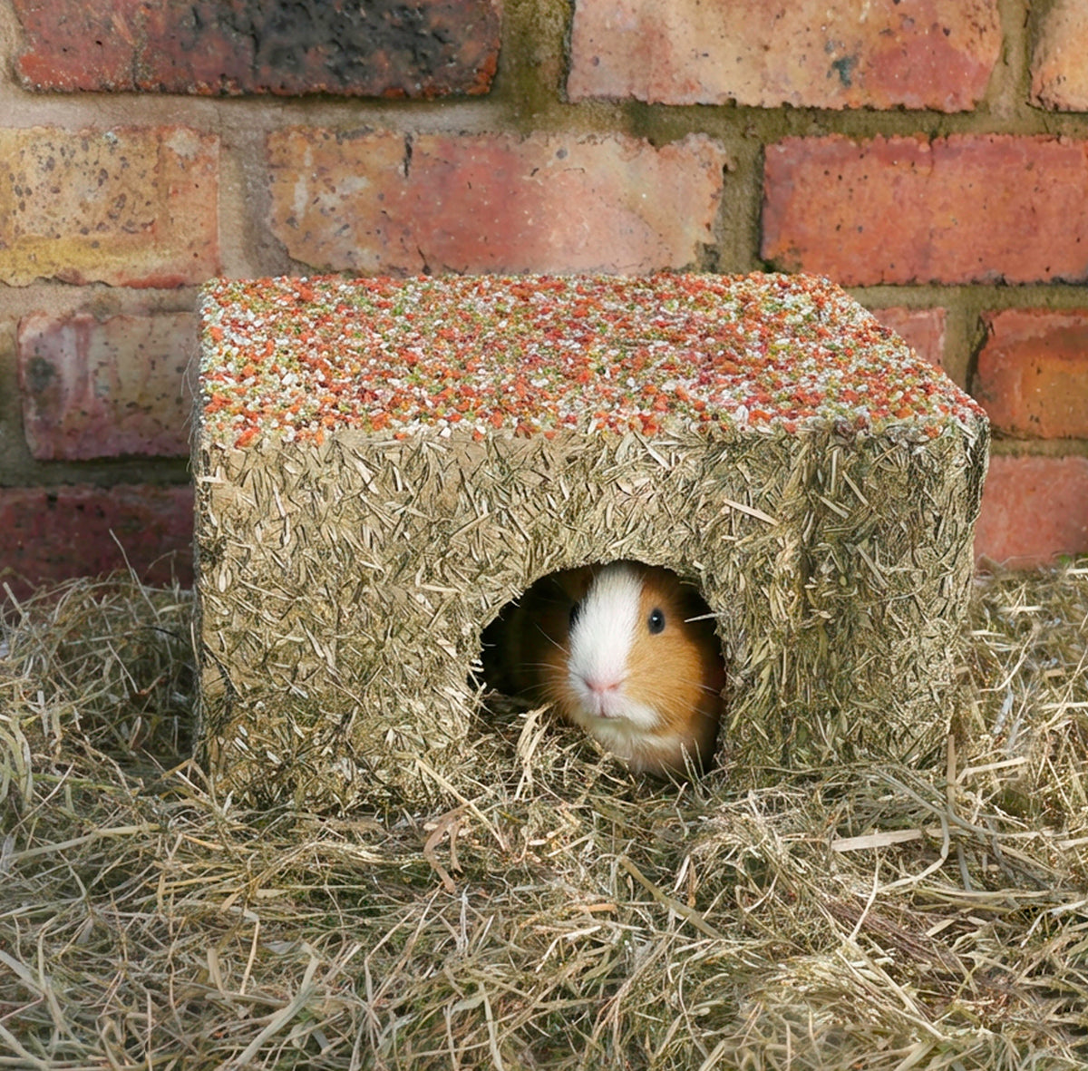 Naturals Winter Party Cottage 🎄 Christmas Small Pet House by Rosewood