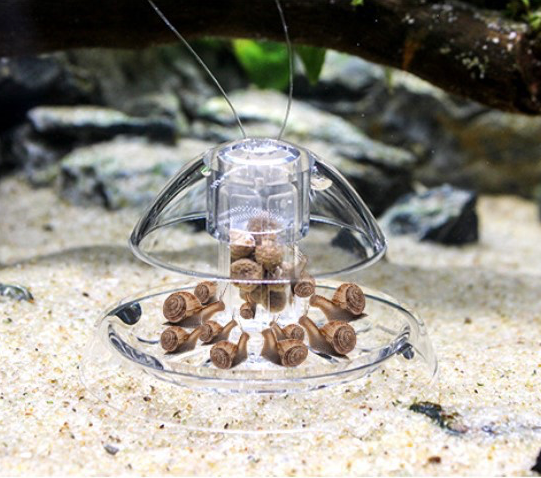 ISTA Pest Snail Trap for Freshwater & Marine Aquariums