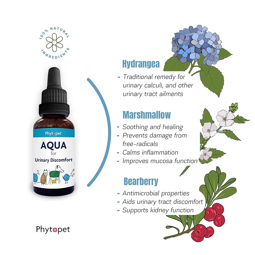 PhytoPet | Liquid Herbal Supplement | Aqua for Urinary Discomfort