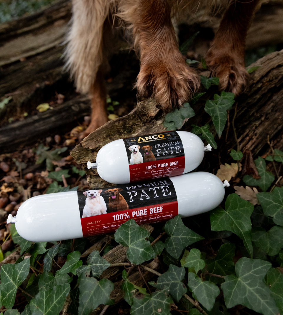 Anco Premium Beef Pt | Natural Dog Training Treat