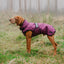 Danish Design 3-in-1 Dog Coat - Plum | Versatile All Weather Protection for Every Season