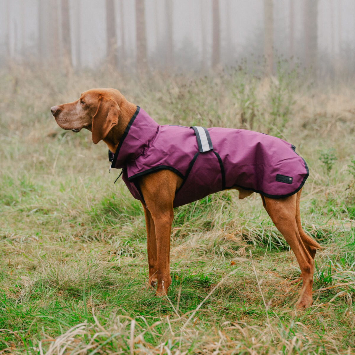 Danish Design 3-in-1 Dog Coat - Plum | Versatile All Weather Protection for Every Season