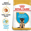Royal Canin German Shepherd Puppy food packaging with key features highlighted.