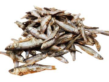 Happy Pet Sprats 🐟 Natural Fish Dog Treats  100g, 200g, 500g & 1kg 🐟 High in Omega 3
