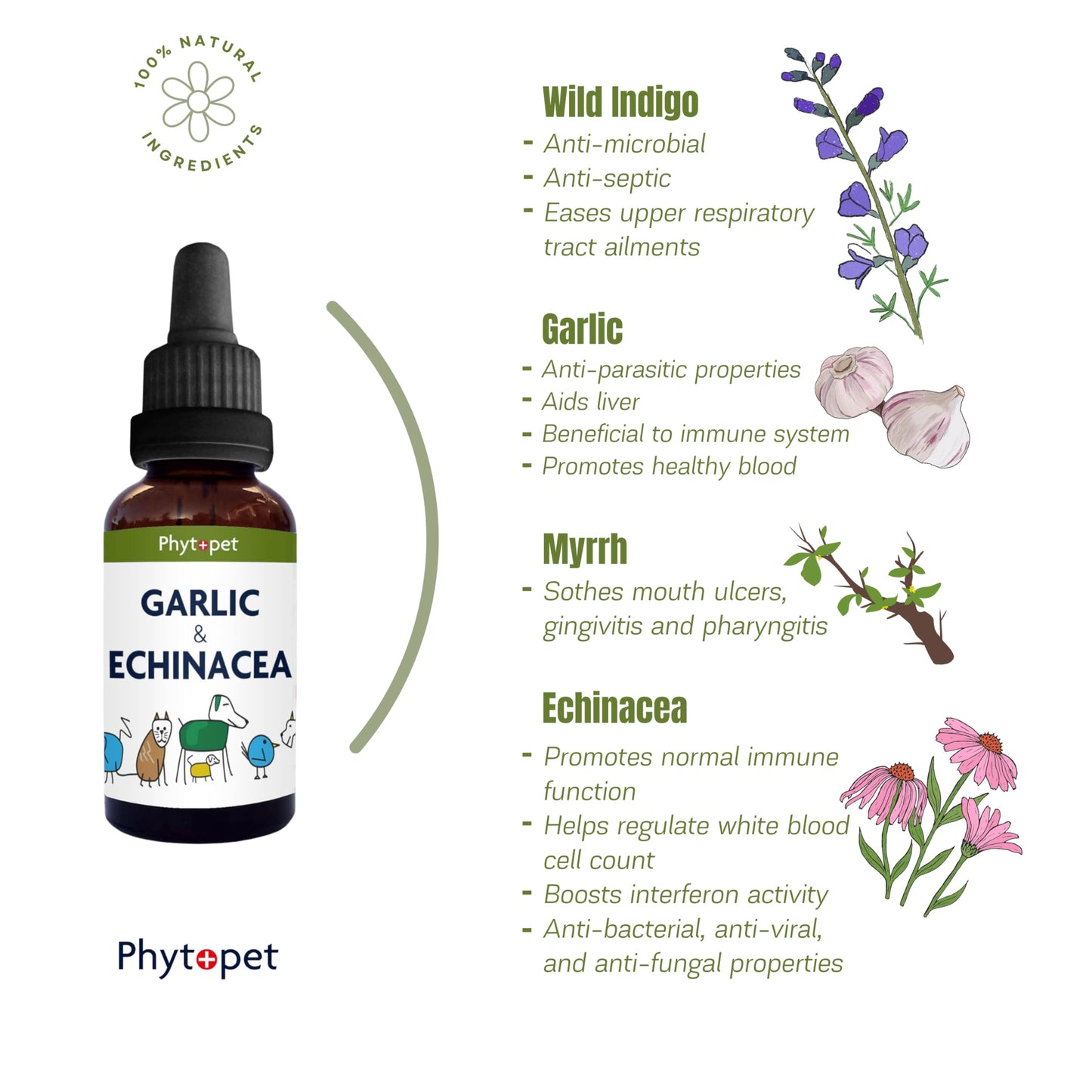 PhytoPet | Garlic & Echinacea Complex for Natural Immune Defence