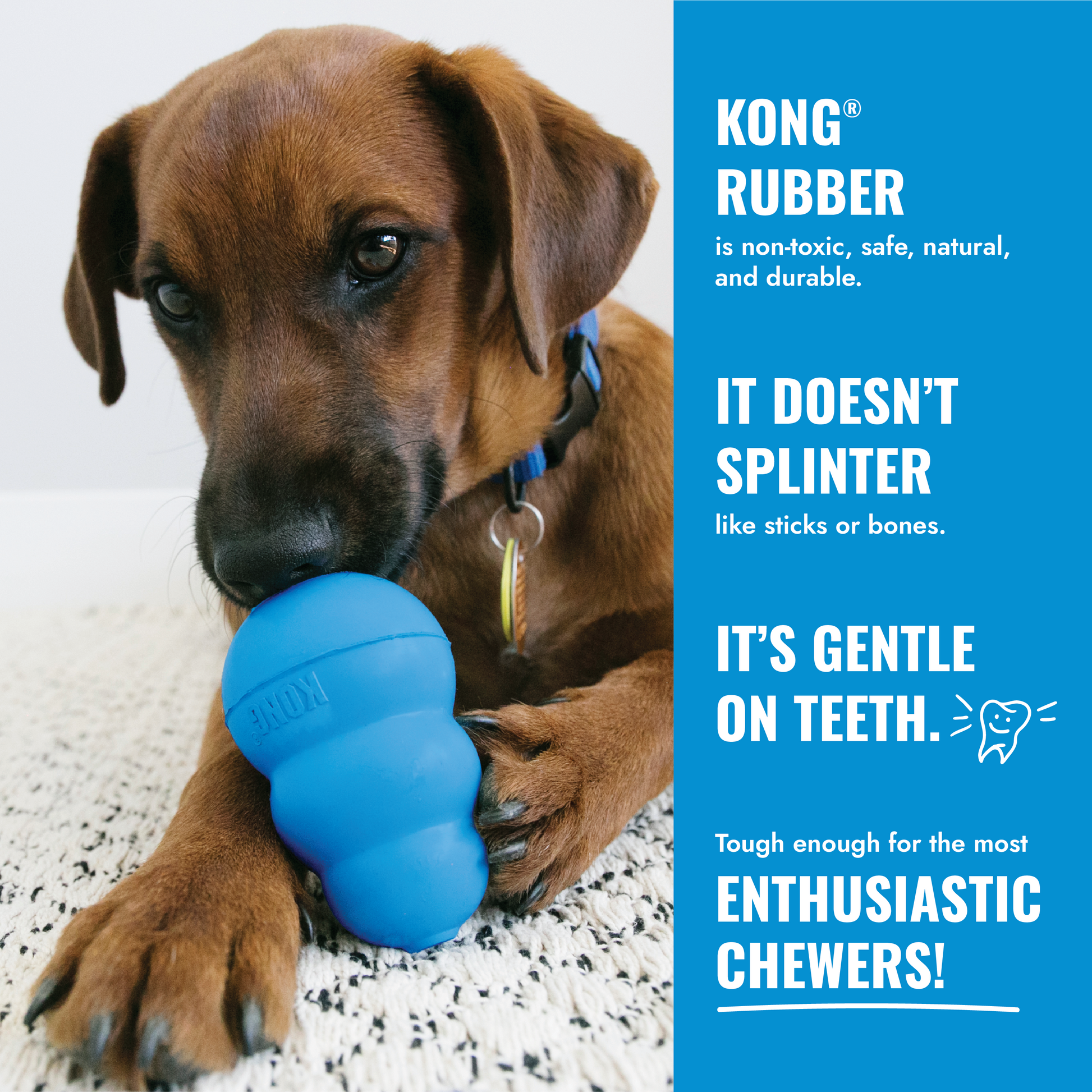 Dog chewing on a blue KONG rubber toy with promotional text about its benefits.