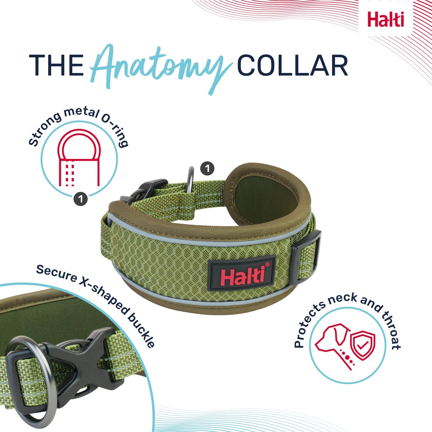 Halti Anatomy Collar - Green | Dog Walking & Training Comfort