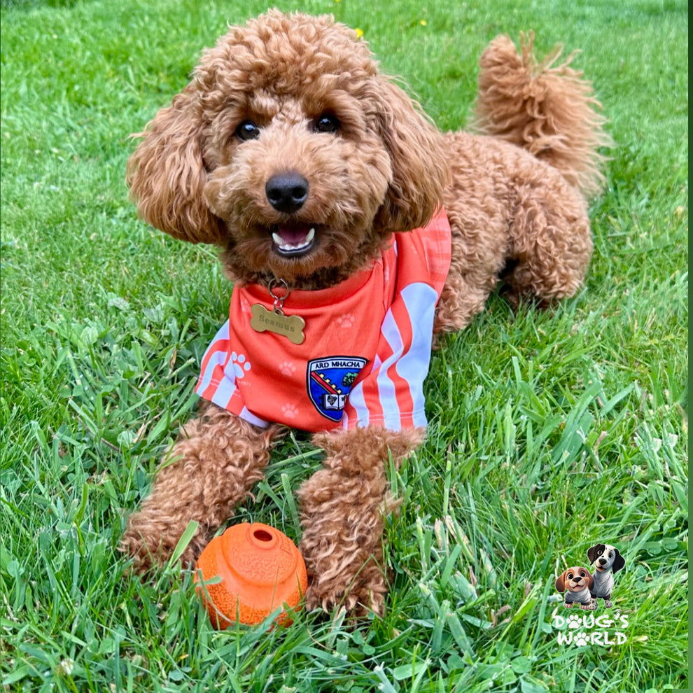 Armagh GAA Dog Jersey County Football Shirt for Dogs