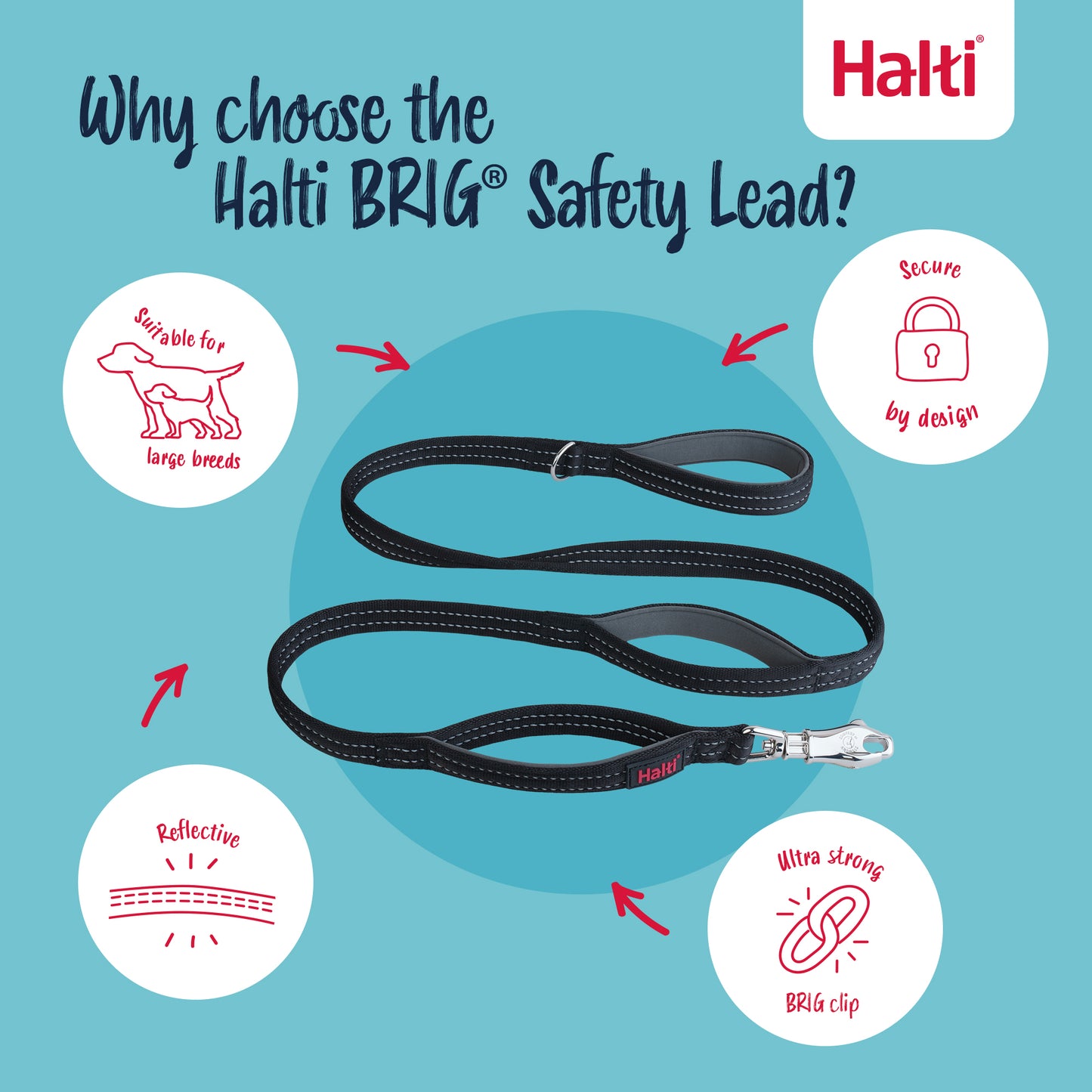 Halti BRIG® Safety Dog Lead | Ultra-Strong Control for Powerful & Big Dogs