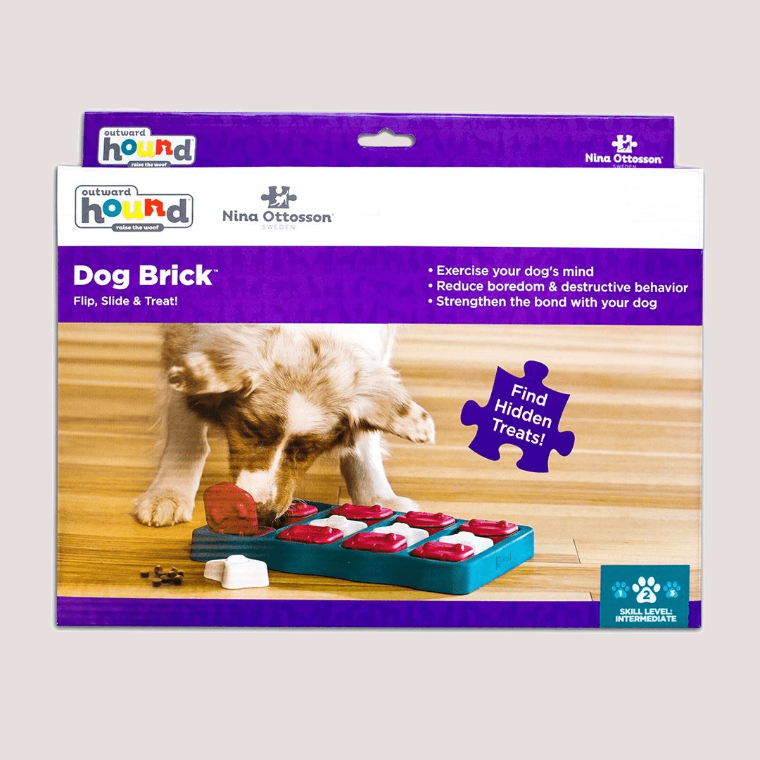 Outward Hound Dog Brick packaging with a dog interacting with the toy on a wooden floor.