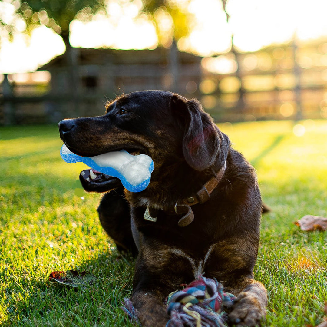 Chill Out | Ice Bone | Dog Cooling Toy for Summer & Heatwaves
