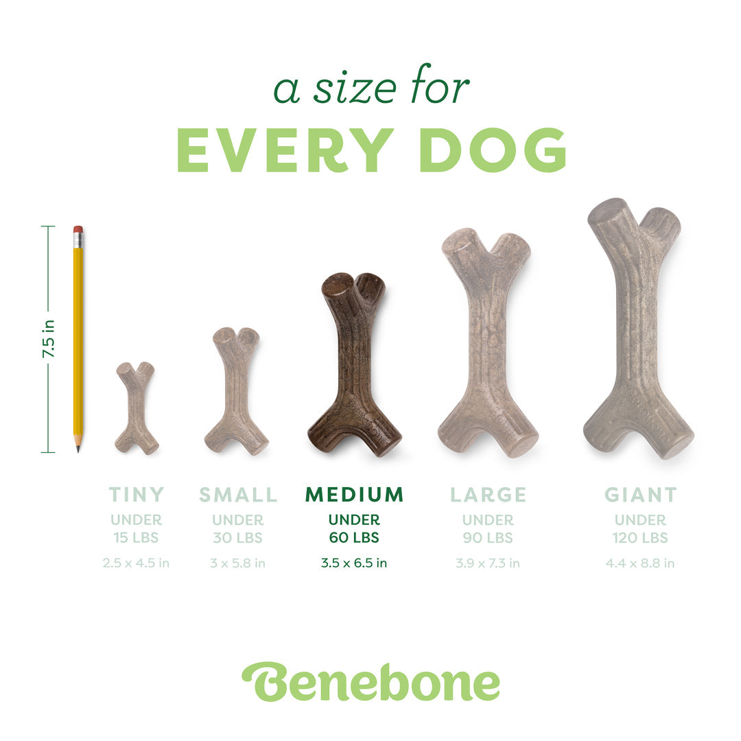 Benebone Maple Infused Stick | Durable Dog Chew Toy
