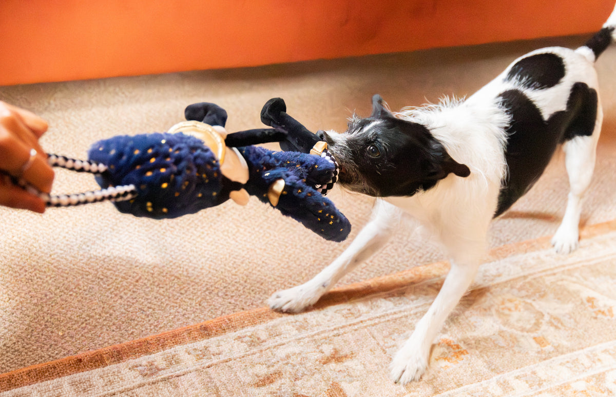 Nermal Nutcracker 🎄 Christmas Dog Toy by Cupid & Comet
