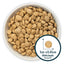 Burns Toy & Small Breed Chicken & Rice Adult Holistic Gluten Free Dry Dog Food