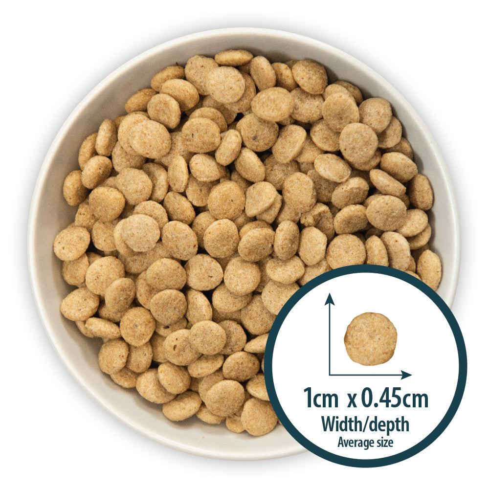 Burns Toy & Small Breed Chicken & Rice Adult Holistic Gluten Free Dry Dog Food