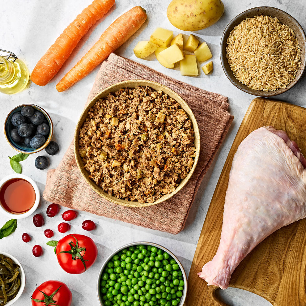 Naturo Senior Turkey with Rice & Vegetables 🦃 Gluten Free Wet Dog Food Tray - 400g