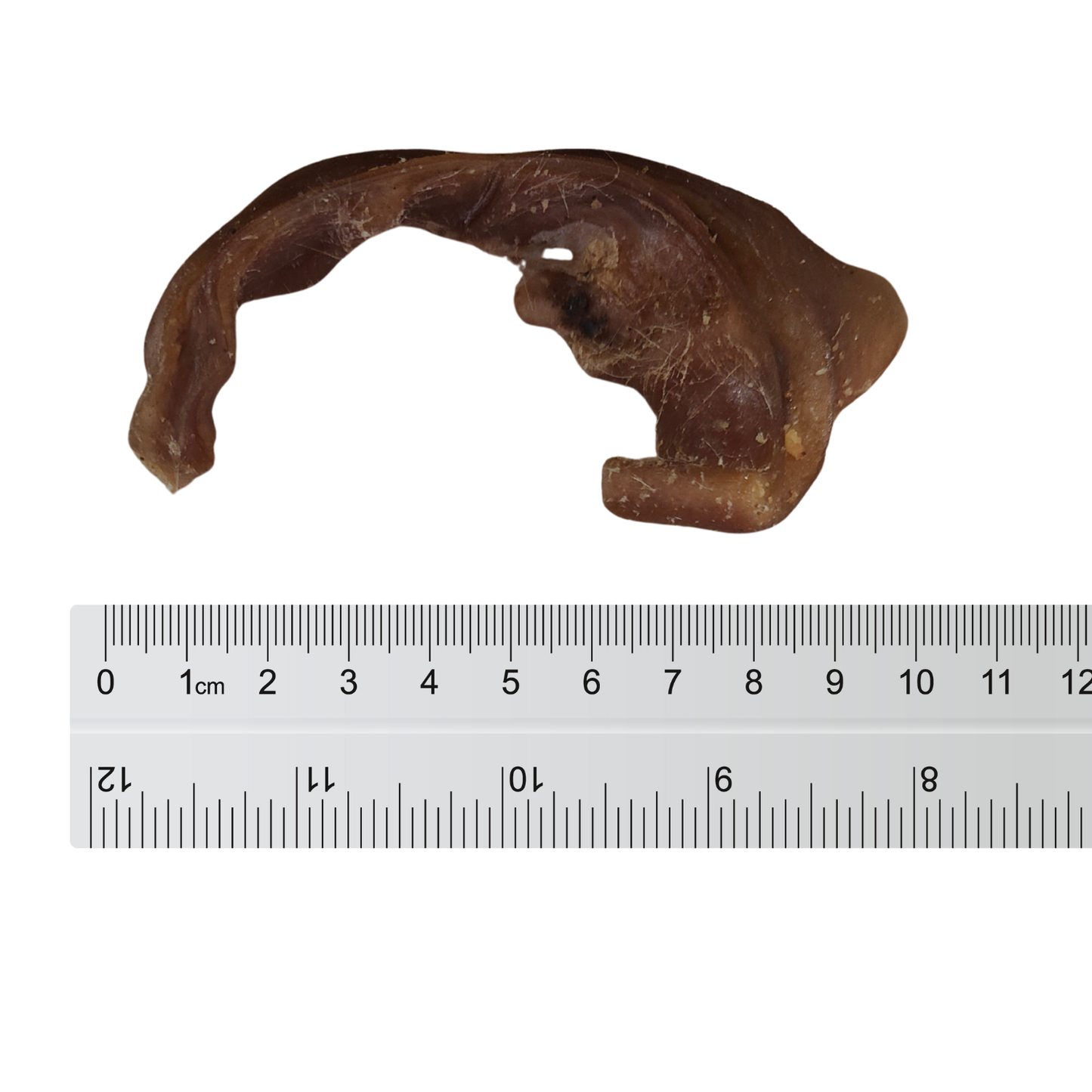 Pig Ear Strips Tasty Dog Chewy Chunks by Natural Connection