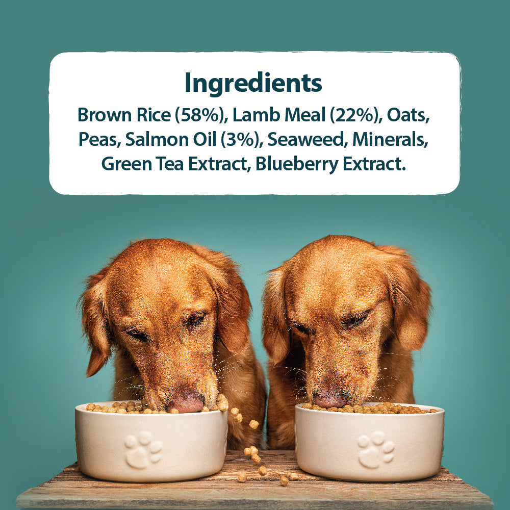 Burns Original Lamb & Brown Rice Adult Holistic Gluten Free Dry Dog Food