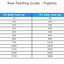 Raw feeding guide for puppies with weight and daily food quantity details.