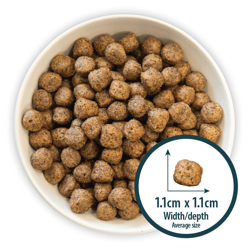 Burns Duck & Potato Adult Sensitive 🦆 Original Holistic Grain Free Dry Dog Food