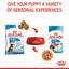 Royal Canin Maxi Puppy 🐕 Size Health Nutrition Dry Food for Large Dogs