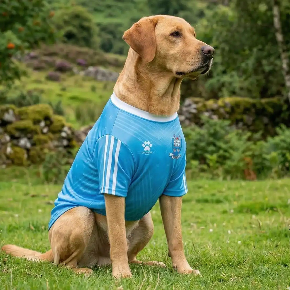 Dublin GAA Dog Jersey County Football Shirt for Dogs