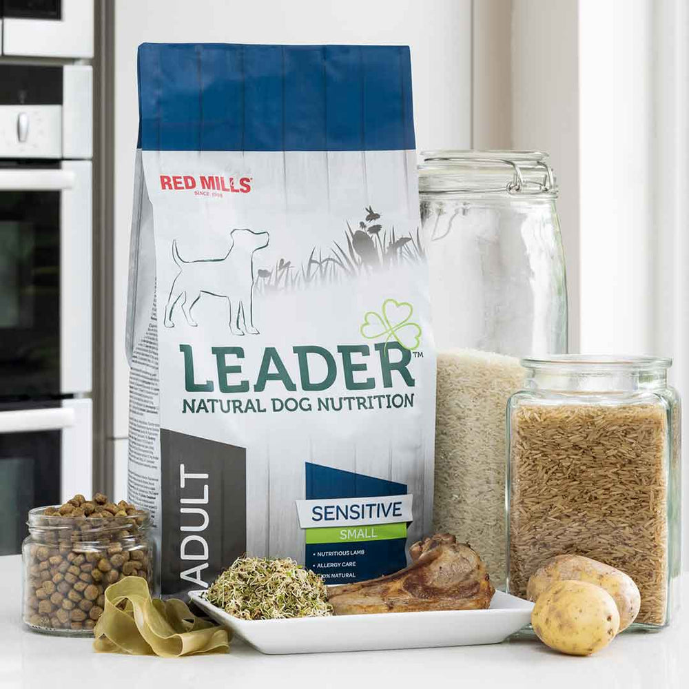 Red Mills Leader Adult Small Breed Sensitive Lamb 🐑 Dry Dog Food