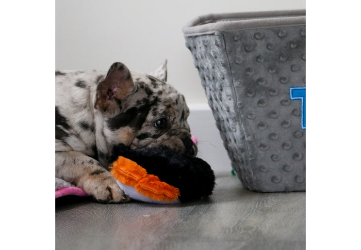 Dog playing with a plush toy next to a laundry basket on a wooden floor.