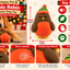 Happy Pet Rolo Robin 🐦‍⬛ Latex Christmas Dog Toy by Happy Pet