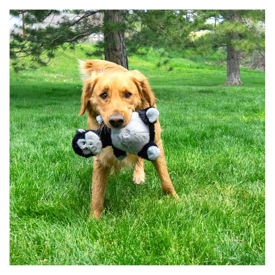 KONG Knots Belly Gorilla | Rope Core Plush Dog Toy