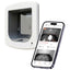 ZeroMOUSE Smart Cat Flap with AI Mouse Detection & App Control