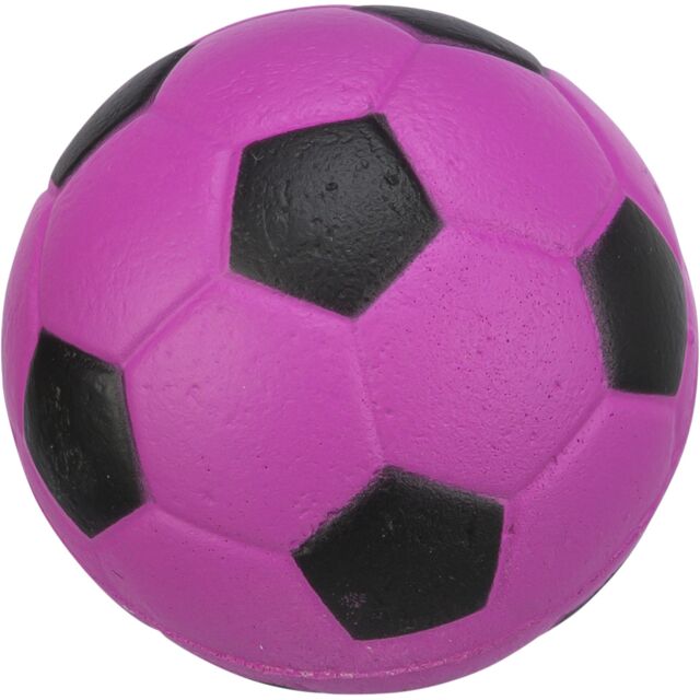 Purple and black soccer dog  ball on a white background